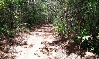 Imagem 5: Chácaras próximo a Anápolis