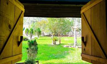 Imagem: Oportunidade dos sonhos! Sítio em Canela