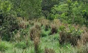 Imagem 7: Chácara, uruaçu Goiás 999.999,00