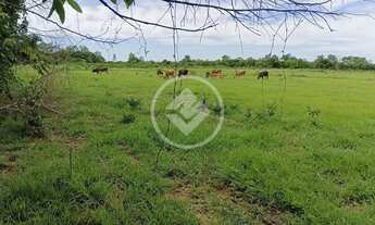 Imagem 6: Sítio Quintal do Morro PORTEIRA FECHADA -35 km do centro de Cuiabá propriedade fica aos pé