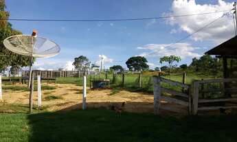 Imagem: Fazenda 3 quartos para Venda Amaral, Unaí