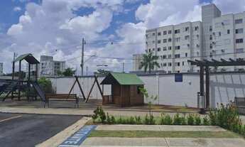 Imagem 6: Alugo Prime Mosaico