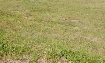 Imagem 3: Vendo terreno no Residencial Nova Califórnia - Unamar