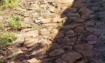 Imagem 7: Vendo linda chácara..