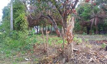 Imagem 9: SITIO NO MARACANÃ