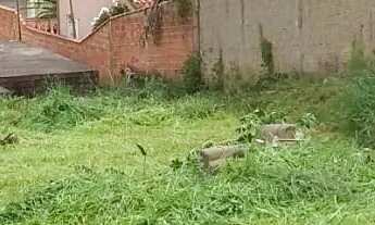 Imagem 6: Terreno à venda em Boituva