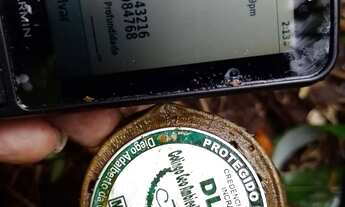 Imagem 6: Fazenda Legalizada em Rorainópolis-RR | Área de Mata