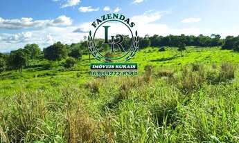 Imagem 3: Fazenda-Chácara 13 Alqueires Próximo Paraiso