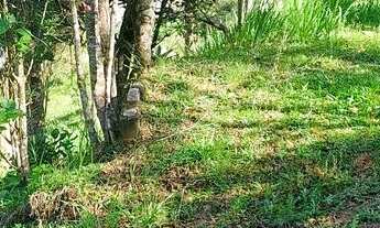 Imagem: Terreno em rancho queimado