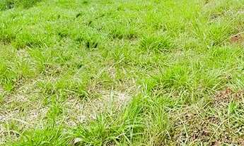 Imagem 7: Terreno Central em Campo Largo - 976m² | Zoneamento Central