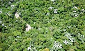 Imagem 7: Casa nova em Alphaville com 4 suítes à venda, 454 m² por R$ 6.950.000 - Santana de Parnaíb