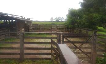 Imagem 6: 410 alqueires Fazenda em Tailandia por 100 mil o alqueire toda pronta e documentada