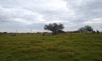 Imagem 5: Vendo Chácara 3 ha Próximo a Cidade