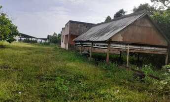 Imagem 3: Fazenda com 45 ha para gado no JAPÚ municipio de Ilhéus