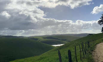 Imagem 4: Faz. Zona da Mata - a 45 km de Garanhuns-PE