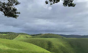 Imagem 7: Faz. Zona da Mata - a 45 km de Garanhuns-PE