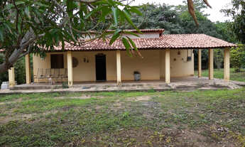 Imagem 5: Sitio no Soturno em Teresina-PI