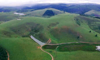 Imagem 2: Faz. Zona da Mata - a 45 km de Garanhuns-PE
