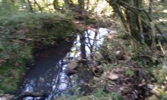 Imagem 7: Sítio.!!! st452