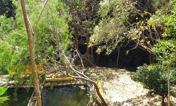Imagem 7: Sítio à venda, 2 quartos, 1 suíte, 10 vagas, Zona Rural - Caeté/MG