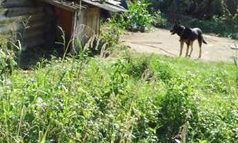 Imagem 6: Terreno Jardim Três Marias São Bernardo do Campo