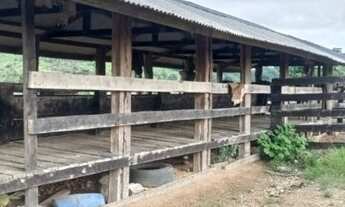 Imagem 2: Sitio 52 alqueires Monte Negro