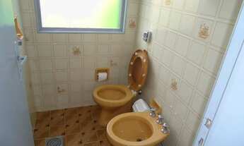 Imagem 6: Sao Carlos - Conjunto Comercial/Sala - Centro