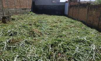 Imagem 4: Terreno Padrão em Ribeirão Preto