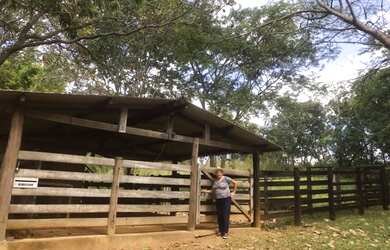 Imagem 6: Excelente Chácara em Bela Vista!