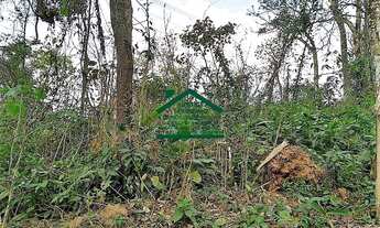 Imagem 6: ÓTIMO TERRENO LEVE ACLIVE 20 X 50,5M 1010M² - JARDIM SÃO JORGE - ARUJÁ/SP