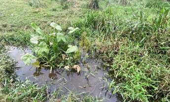 Imagem 6: Sítio para Venda em Balneário Piçarras, Morro Alto