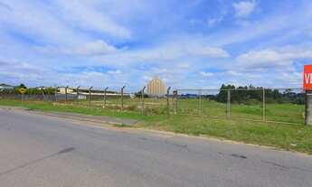 Imagem 6: Excelente Área comercial - Thomaz Coelho - Araucária