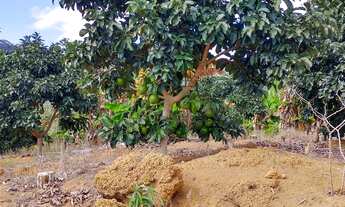 Imagem 5: Sítio em Domingos Martins com 100.000m²