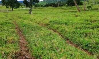 Imagem 5: Sitio 52 alqueires Monte Negro