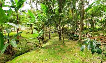 Imagem 3: Sítio na Enseada de Brito, Palhoça c/13.800M² - Escrit/Públic à 100mt do Mar