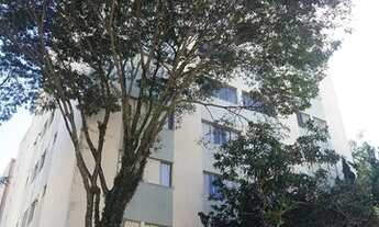 Imagem 7: Apartamento para venda na Vila Sônia com 2 dormitórios