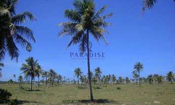 Imagem 7: Área frente mar, Conde - Bahia - R$ 2.600.000,00, 436.000m²