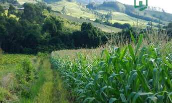 Imagem 6: Sítio com 3 dormitórios à venda, 250000 m² por R$ 1.650.000,00 - Centro - Rio do Campo/SC