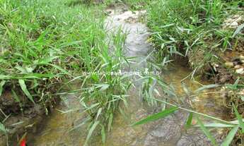 Imagem 7: Fabio Paes Imóveis - Sítio a venda com 80.000 m² planos, córrego, pastagem, pastagem