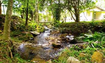 Imagem 4: Sítio na Enseada de Brito, Palhoça c/13.800M² - Escrit/Públic à 100mt do Mar