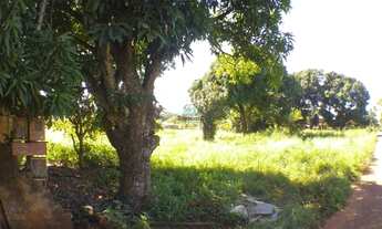 Imagem 3: Terreno Comercial para Venda Chácaras Americanas, Anápolis