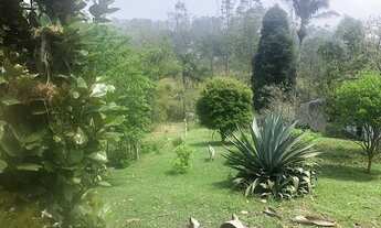 Imagem 5: Chácara com 3 dormitórios à venda, 6000 m² por R$ 1.250.000,00 - Pouso Alegre - Ribeirão P