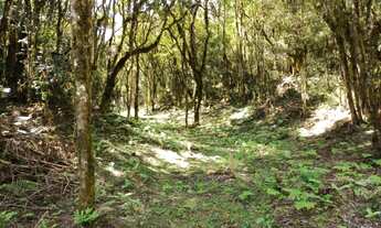 Imagem 2: Chácara 20.000 m² em Campo Magro