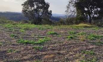 Imagem 3: Terreno em Residencial sem taxas!!!