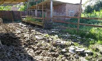 Imagem 3: Vende-se sítio em Marcos Freire