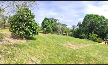 Imagem 7: Sítio pra Venda no Iranduba - Estrada do Caldeirão