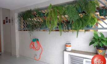 Imagem 1: São Paulo - Casa Padrão - Tatuapé