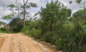 Imagem 2: Lote na Palestina 48947