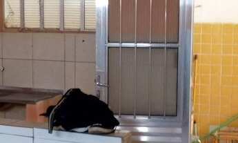 Imagem: Alugo kitnete na rua da delegacia de Piedade