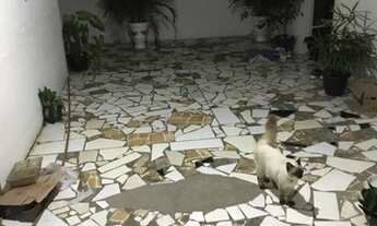 Imagem: Vendo apot 2 andar frente de rua